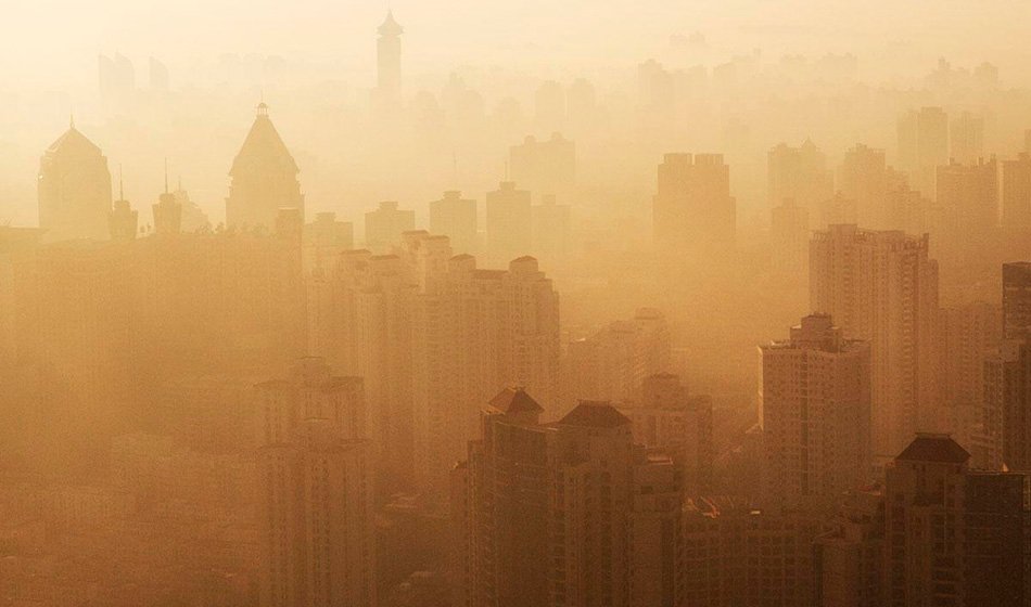 Por medio de un informe, la Organización de las Naciones Unidas remarcó el impacto de los incendios forestales, el cambio climático y la contaminación.