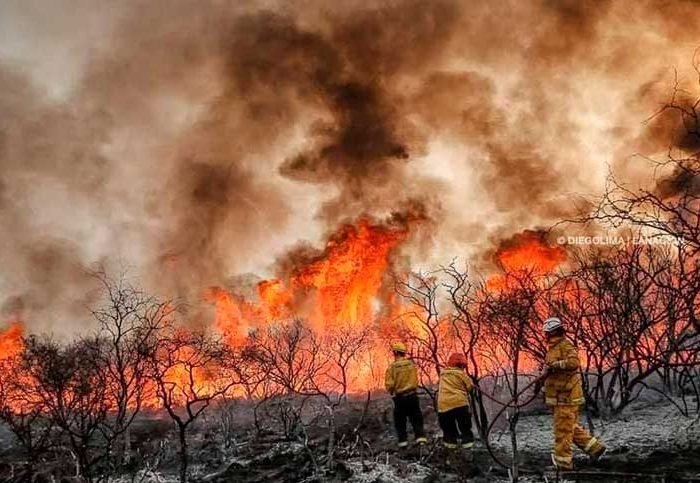 Según el reporte diario del Servicio Nacional de Manejo del Fuego (SNMF), las llamas continuaban afectando diferentes localidades de las provincias de Córdoba, Jujuy, La Rioja y Catamarca.